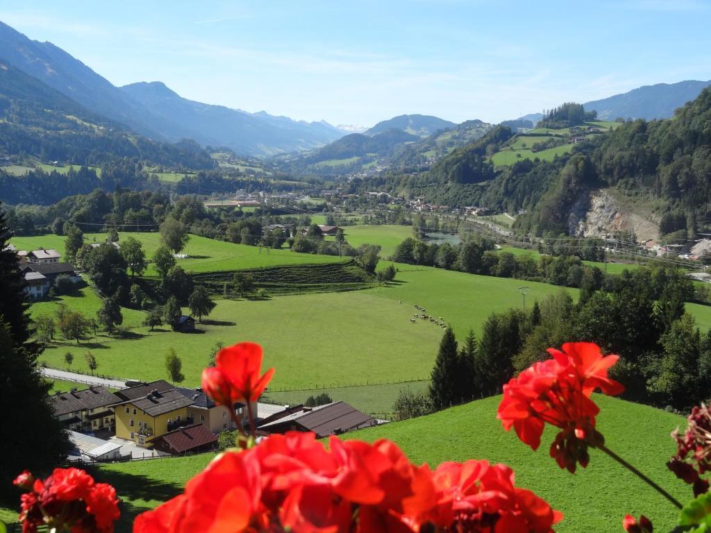 Pension Appartements Reithof Sankt Johann im Pongau Rum bild