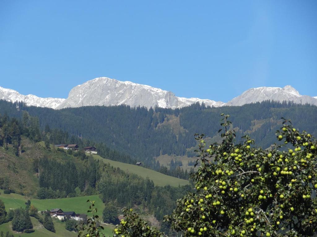 Pension Appartements Reithof Sankt Johann im Pongau Rum bild